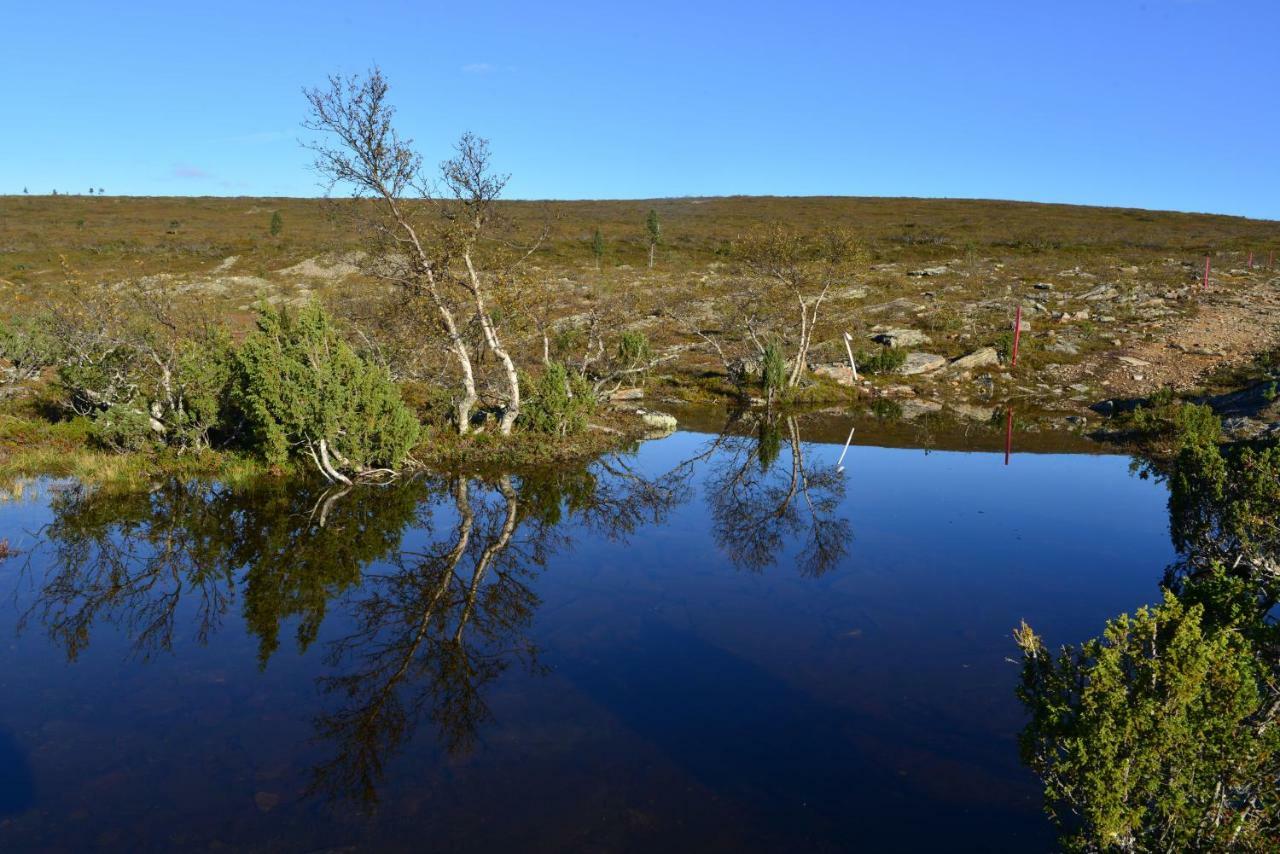 Kelotahti Nice View Saariselka Eksteriør bilde